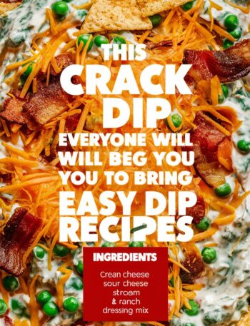Crack Dip Recipe Everyone Will Beg You To Bring – easy dip recipes