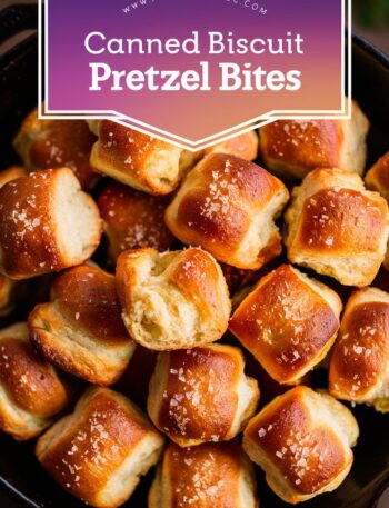 Two Ingredient Dough Pretzel Bites – Butter Swim Biscuits Easy Recipes