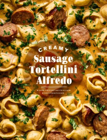Creamy Tortellini Alfredo – Quick and Easy Recipes for Busy Nights