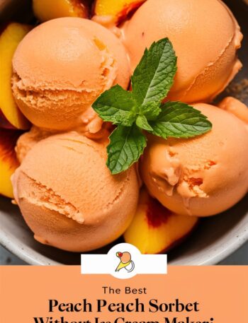 Peach Sorbet That Screams Summer – Sorbet Recipes Easy Healthy