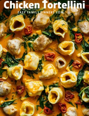 Marry Me Chicken Tortellini Easy Dinner Recipe