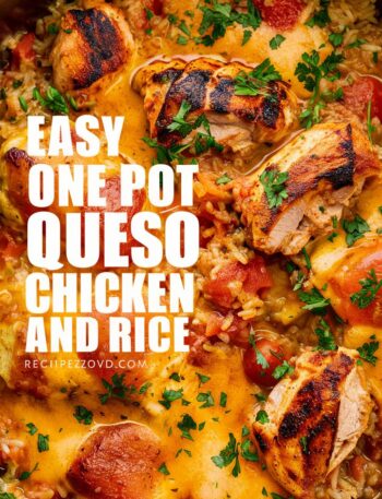 One Pot Queso Chicken and Rice – Quick and Easy Chicken and Rice Recipes