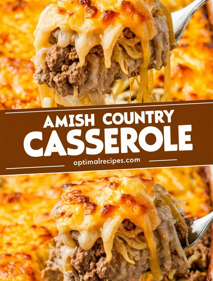 Amish Country Casserole – What To Do With Rice Flour