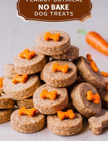 Peanut Butter & Oatmeal No Bake Dog Treats: A Simple Healthy Recipe