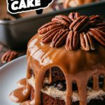 Do Nothing Tornado Cake – Sweet Easy Recipes You’ll Love