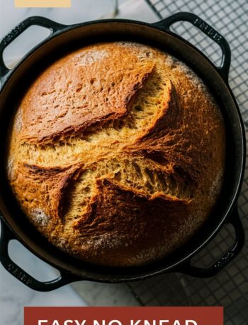 Easy No-Knead Bread for Bread Easy Recipes Lovers