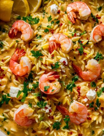 Lemon Garlic Shrimp Orzo